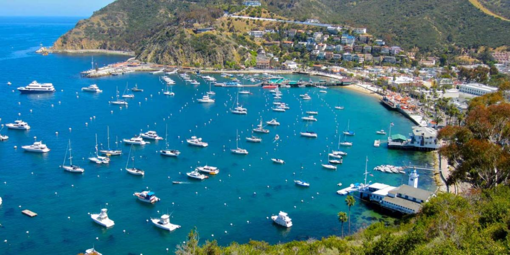 Discover the Hidden Gems of the Catalina Islands