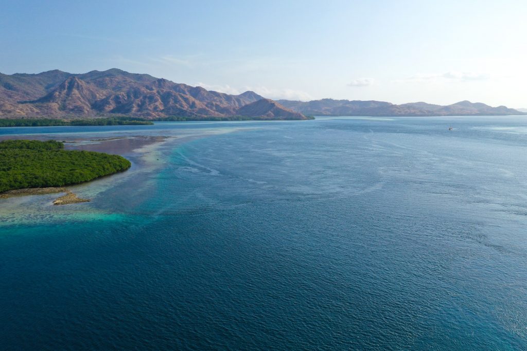 The Top 10 Reasons to Try Ocean Rafting Today! The Top 10 Reasons to Try Ocean Rafting Today!
