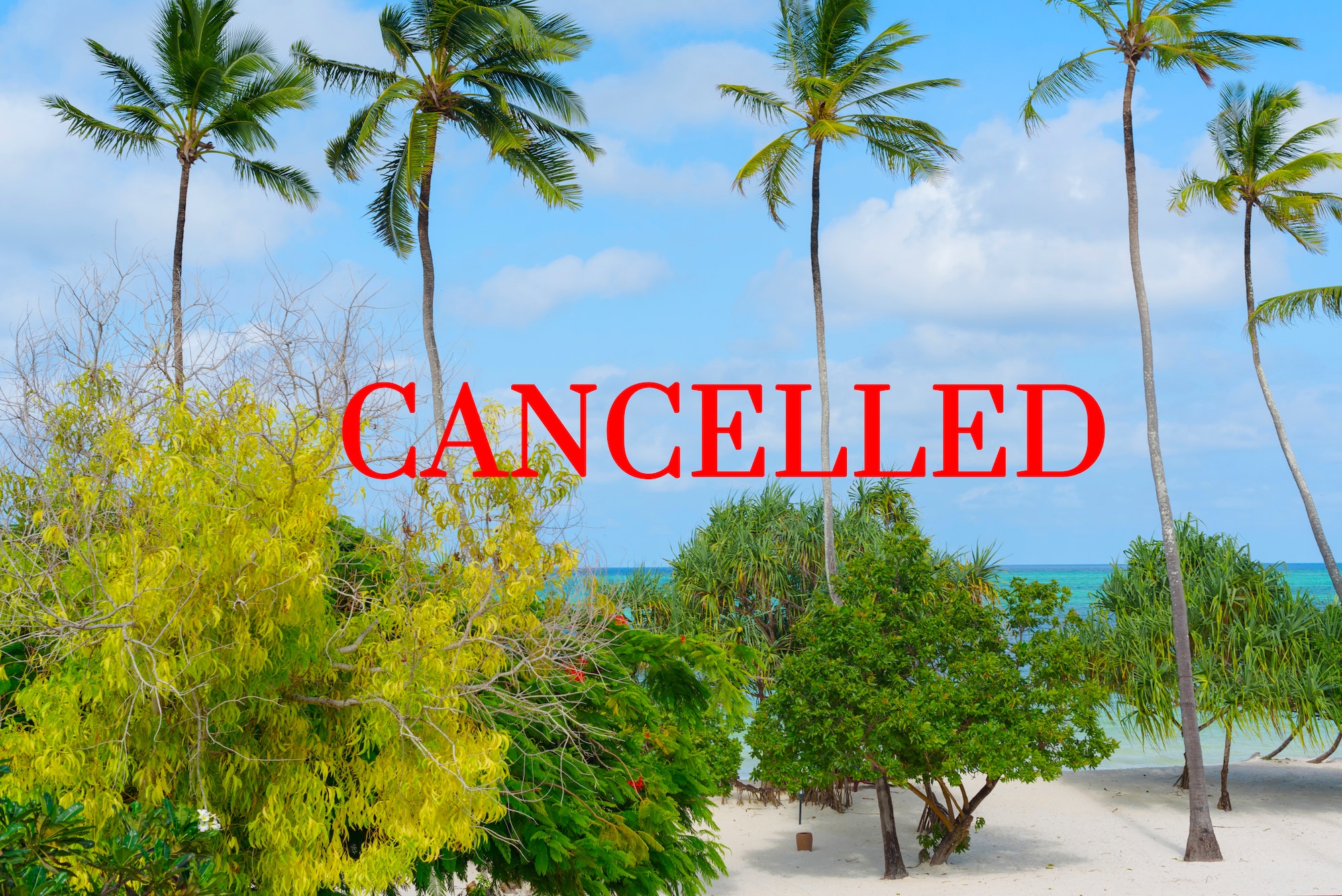 What to Do When Your Ocean Rafting Trip Gets Cancelled: Tips for Rescheduling and Refunds