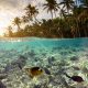 underwater-scene-with-reef-and-tropical-fish-small.jpg